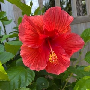 Meet your Posher, Janie